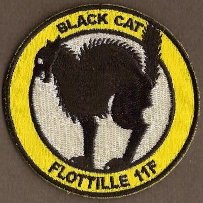 11 F - Black cat