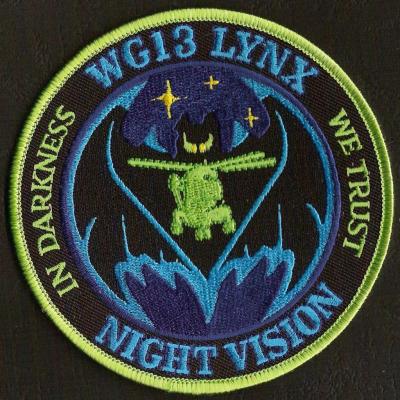 34 F - night vision - WG13 - In darkness we trust