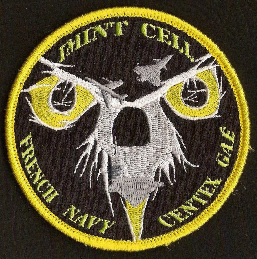 CENTEX GAE - Imint Cell - French Navy