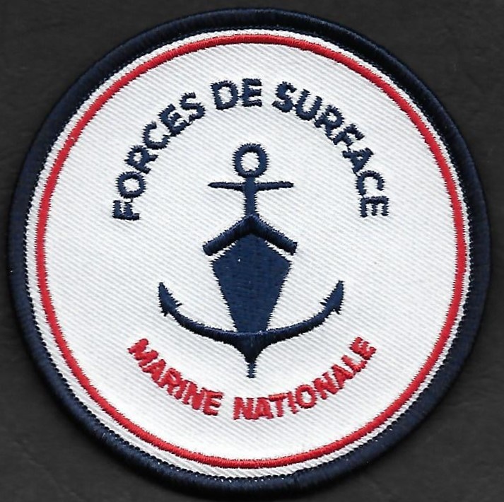 Marine nationale - Forces de surface
