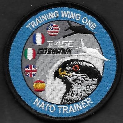 T45 Goshawk - Training Wing One - Nato Trainer