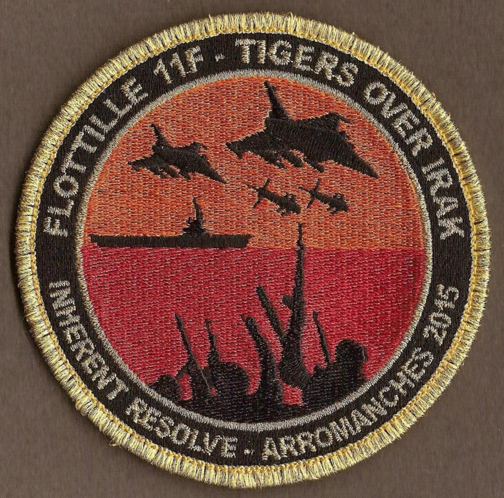 11 F - Tigers over Irak - Inherent resolve - Arromanches 2015