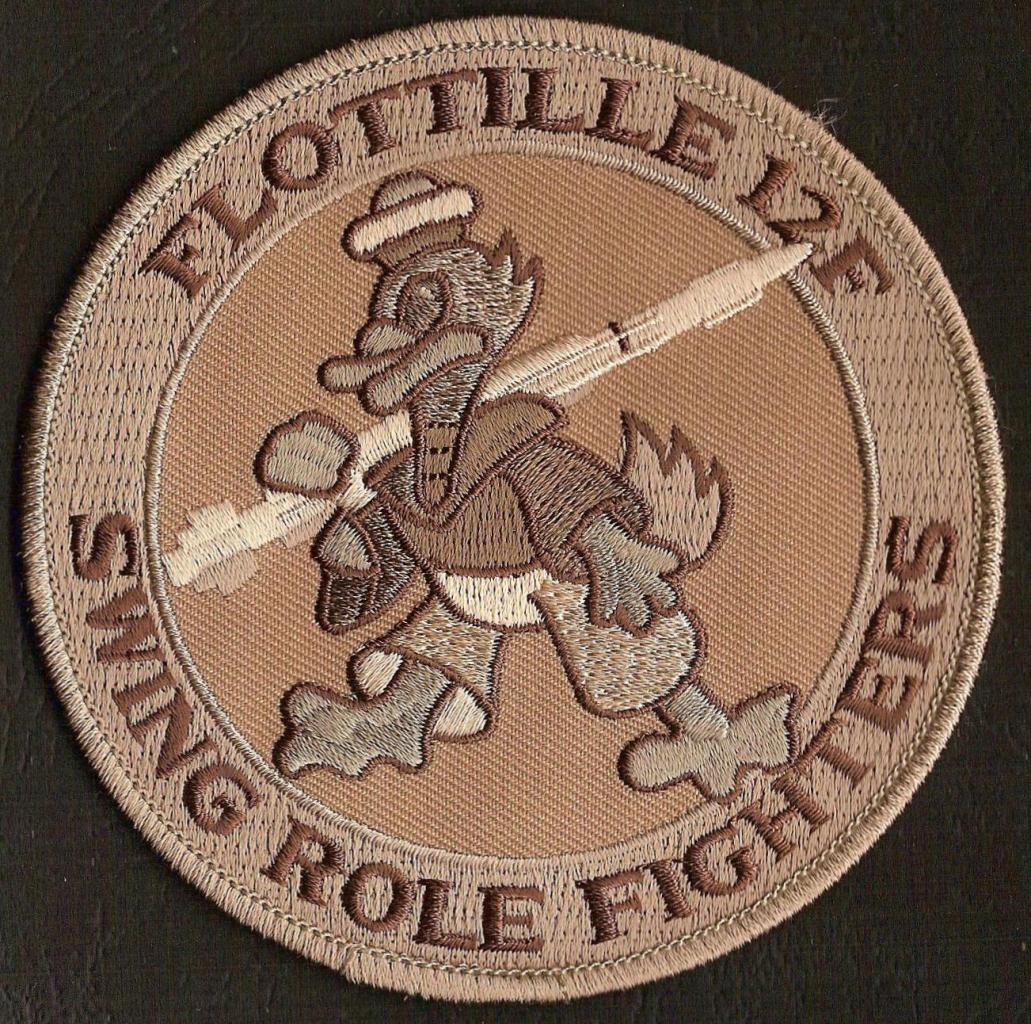 12 F - Swing Role Fighters  - Sable