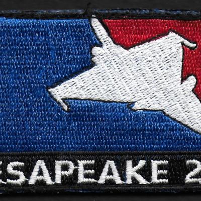 17 F - Chesapeake  2018 - NFL - mod 4 - US