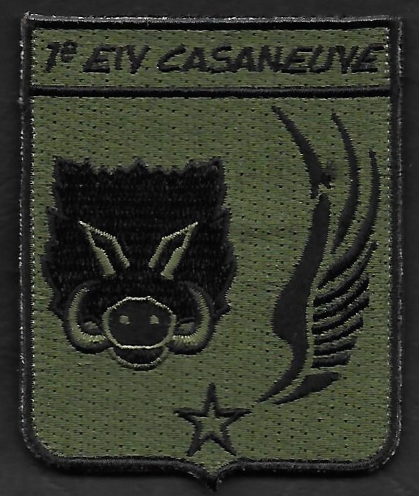 1er Escadron d’Instruction en Vol  - COGNAC - Casaneuve