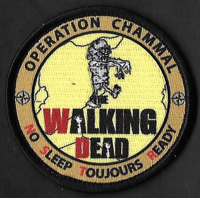 23 F - ATL 2 - WD - Walking Dead - No sleep toujours ready - Opération Chammal
