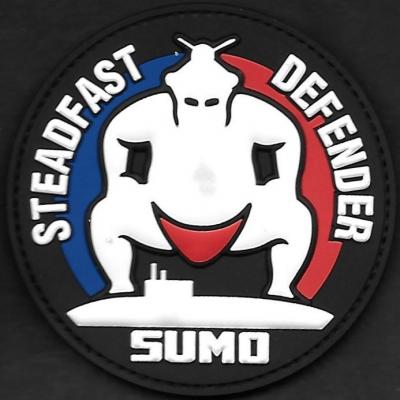 33 F - Détachement Normandie - Exercice Steadfast Defender - Indicatif Sumo - mod 1