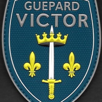 35 F - Guepard Victor - Hyères