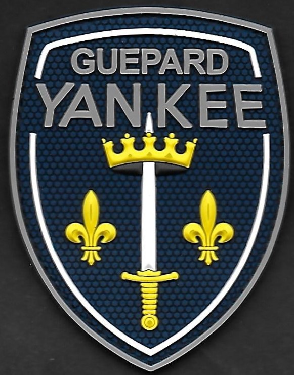 35 F - Guepard Yankee - mod 1