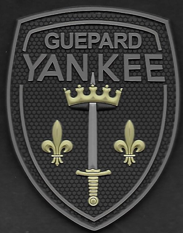 35 F - Guepard Yankee - mod 2