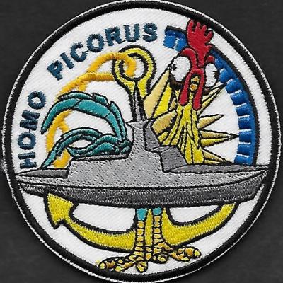 36 F - Forbin - Mission Clemenceau 2025 - Homo Picorus