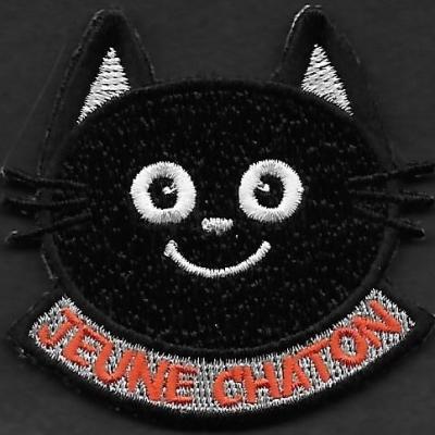 4 F - jeune chaton - mod 2