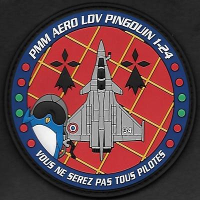 BAN Landivisiau - PMM AERO Pingouin 1-24 - Vous ne serez pas tous pilotes