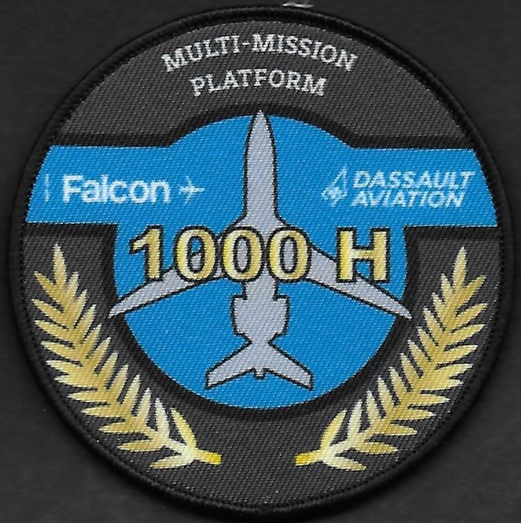 Dassault Aviation  -  Falcon de mission - Personnel navigant  - 1000 H +