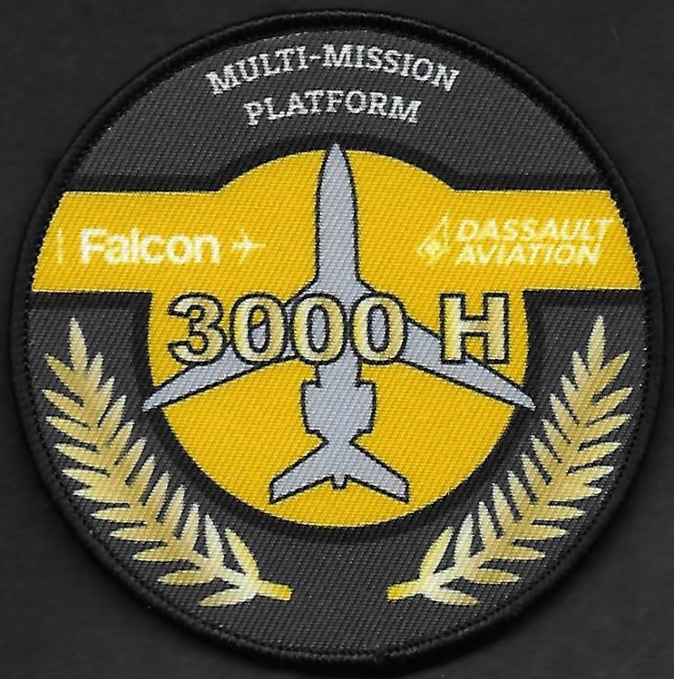 Dassault Aviation  -  Falcon de mission - Personnel navigant  - 3000 H +