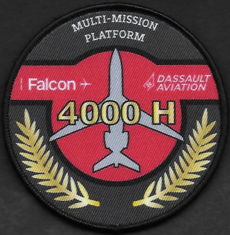 Dassault Aviation  -  Falcon de mission - Personnel navigant  - 4000 H +