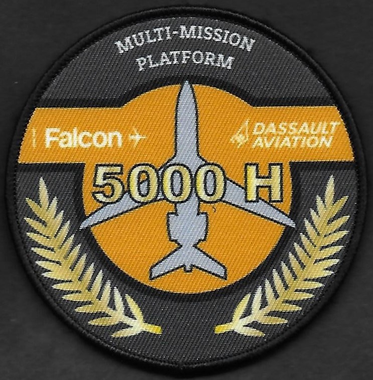 Dassault Aviation  -  Falcon de mission - Personnel navigant  - 5000 H +