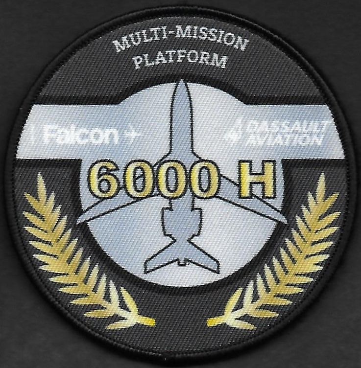 Dassault Aviation  -  Falcon de mission - Personnel navigant  - 6000 H +