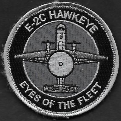 E2 C Hawkeye - Eyes of the Fleet