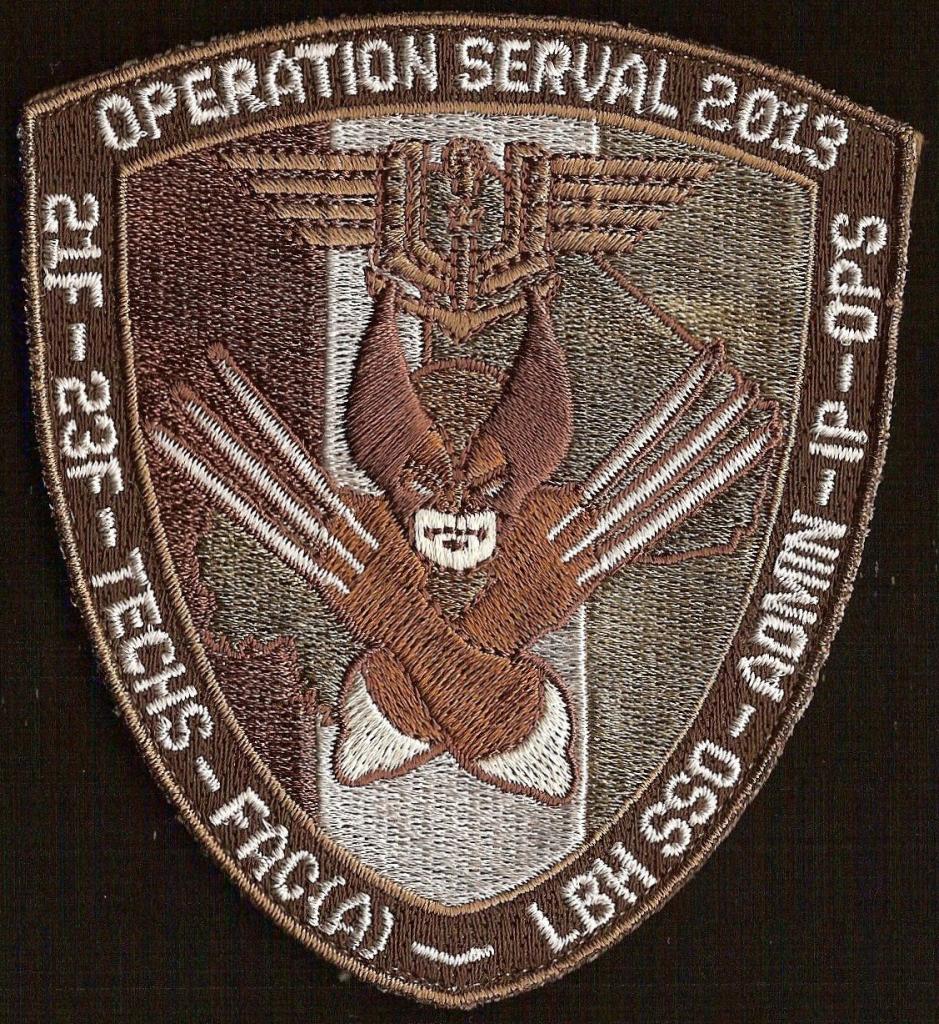 Opération Serval 2013 - patmar - mod 2