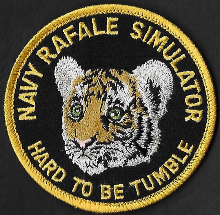PA Charles de Gaulle - Navy Rafale Simulator - Hard to be Humble