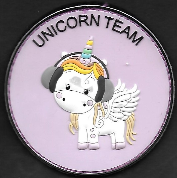 Team Unicorn